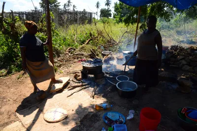 DSC_8353 (Large).JPG